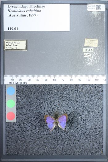 Media type: image;   Entomology 68422